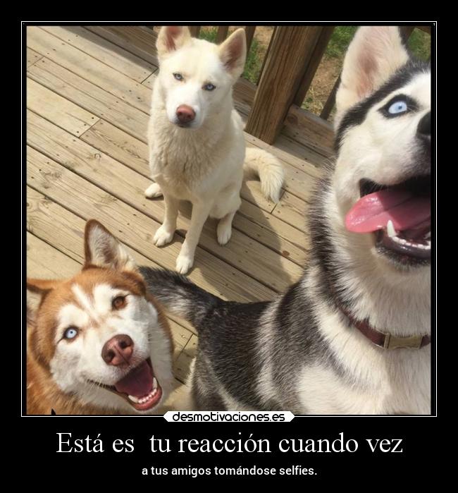 Está es tu reacción cuando vez -