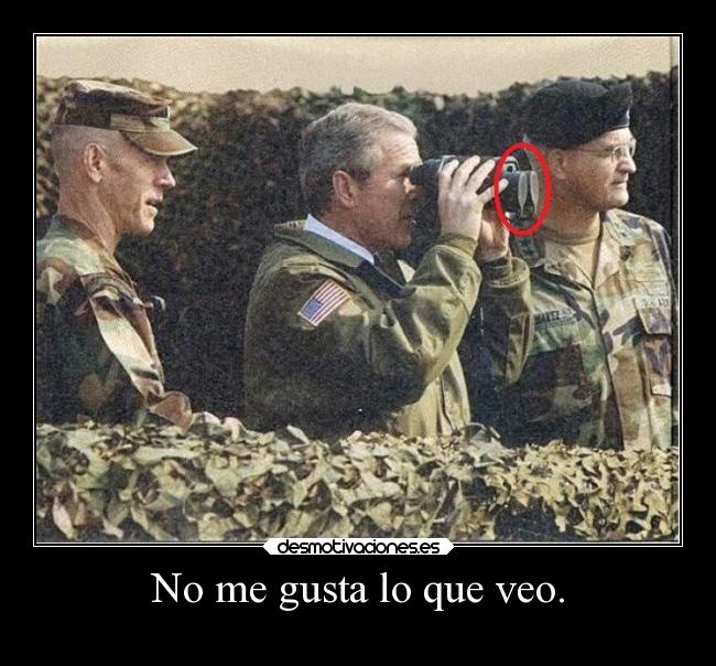 No me gusta lo que veo. -