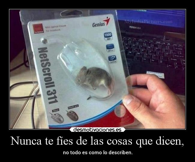 Nunca te fíes de las cosas que dicen, -