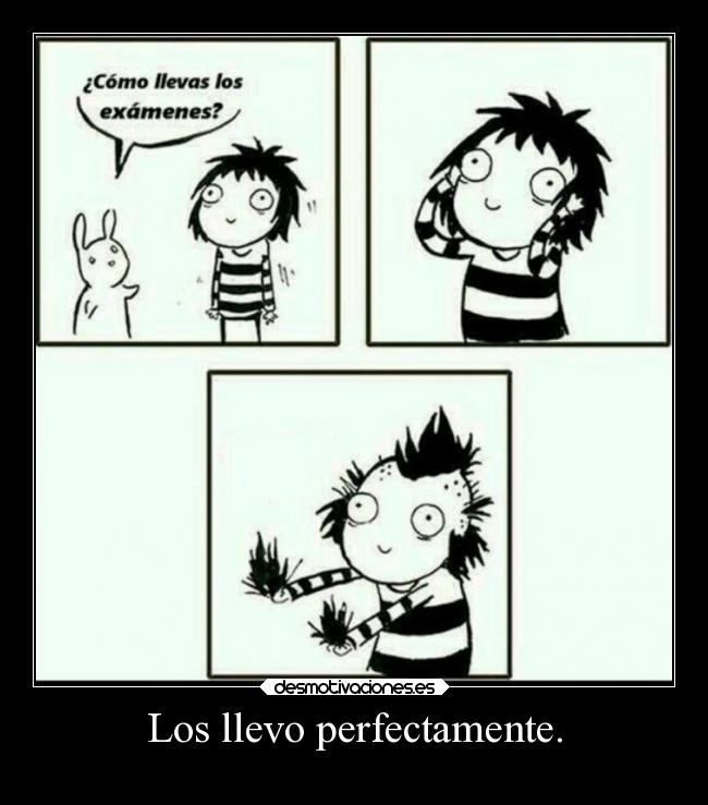 Los llevo perfectamente. -