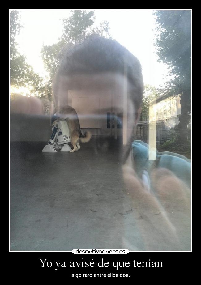 Yo ya avisé de que tenían - algo raro entre ellos dos.