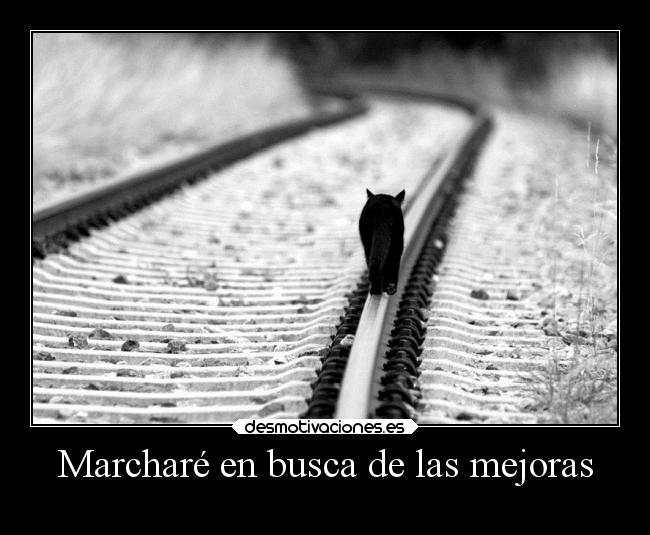 carteles humor slipkdemon busqueda implacable mejoras desmotivaciones