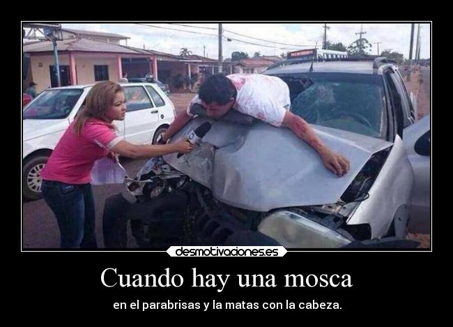 Cuando hay una mosca - en el parabrisas y la matas con la cabeza.