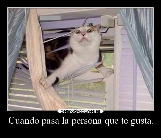 Cuando pasa la persona que te gusta. -