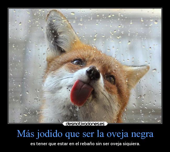 Más jodido que ser la oveja negra -