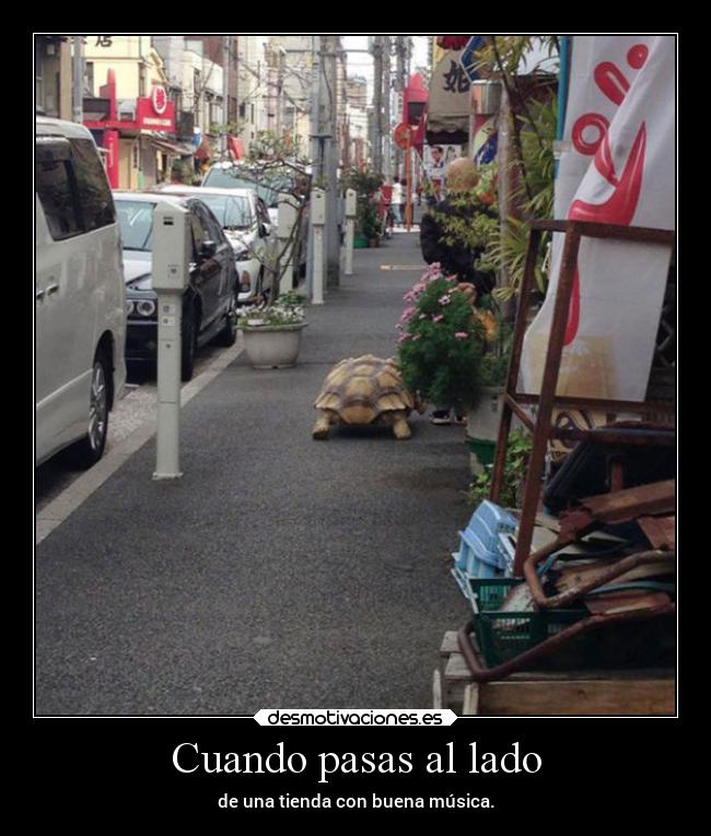 carteles ideas pasar despacio para oir mucho caminar lento tortuga suavemente besame desmotivaciones