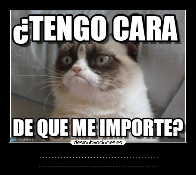 carteles ignorancia desmotivaciones