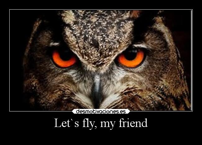 Let`s fly, my friend -