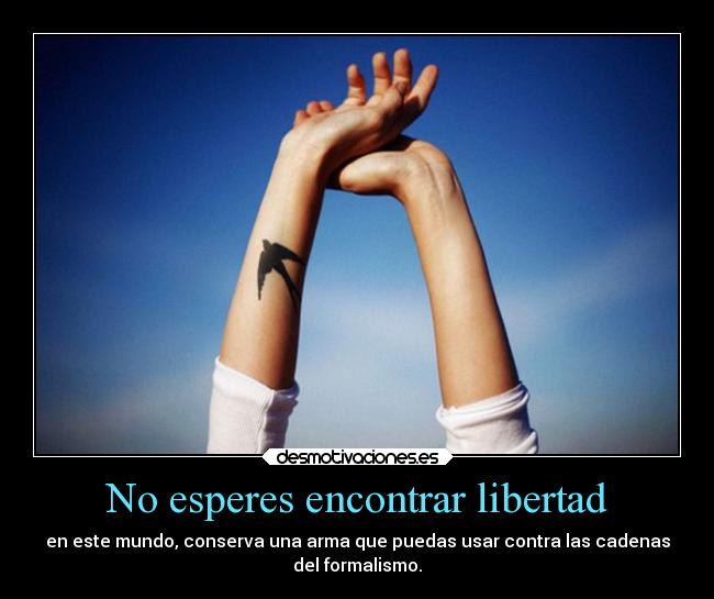 No esperes encontrar libertad -