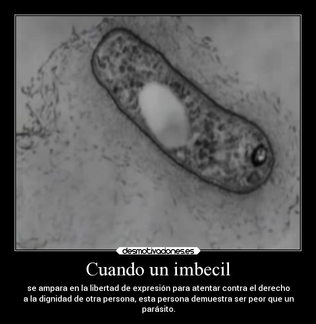 Cuando un imbecil - se ampara en la libertad de expresión para atentar contra el derecho
a la dignidad de otra persona, esta persona demuestra ser peor que un
parásito.