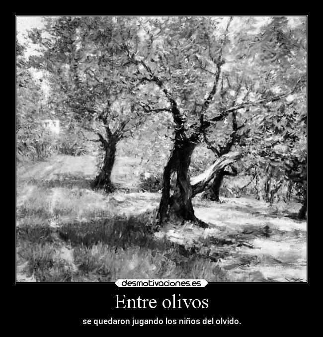 Entre olivos -