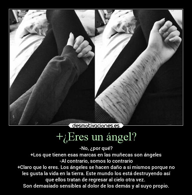 carteles llorar dolor sufrimiento depresion cortes desmotivaciones