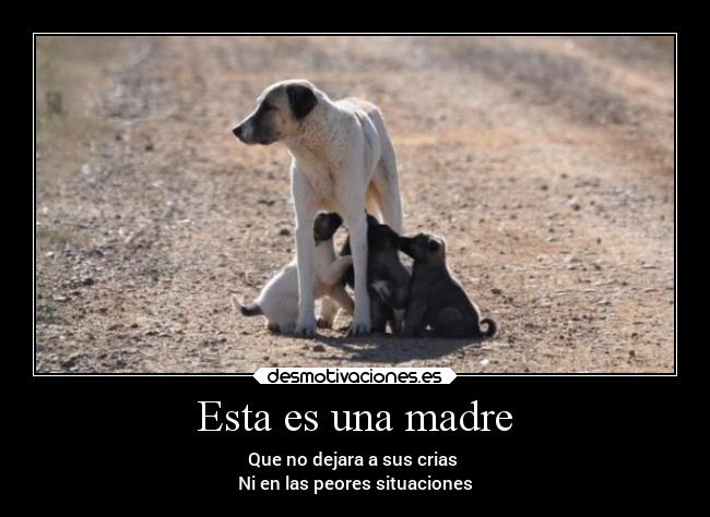 Esta es una madre -