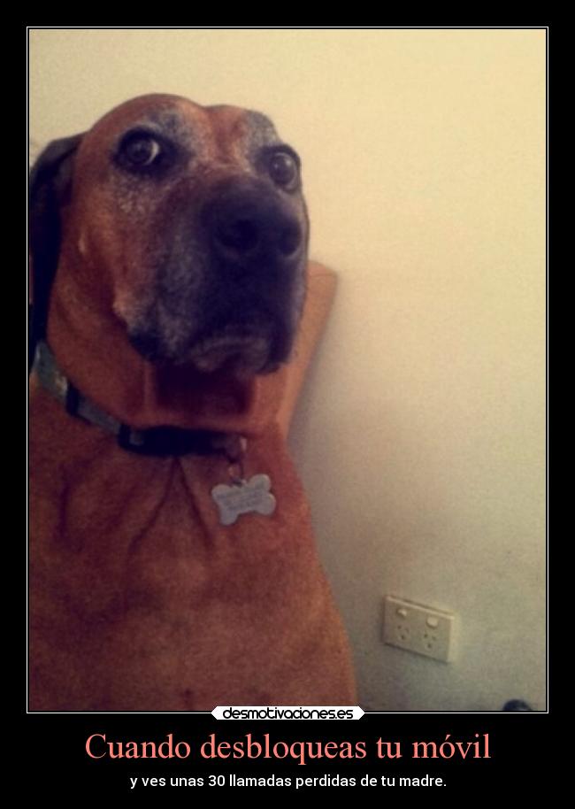 Cuando desbloqueas tu móvil -