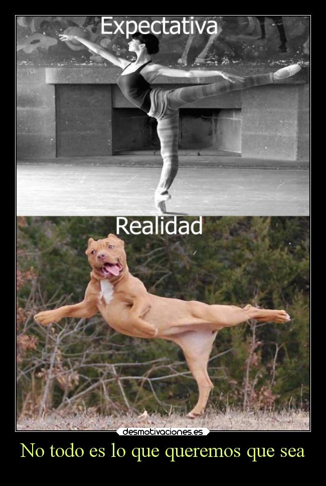No todo es lo que queremos que sea - 