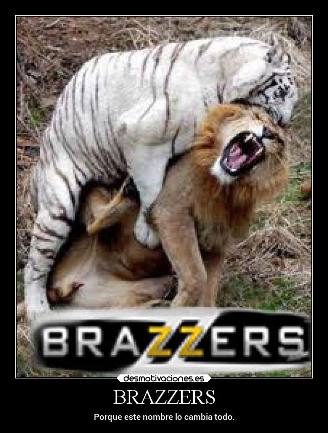 BRAZZERS -