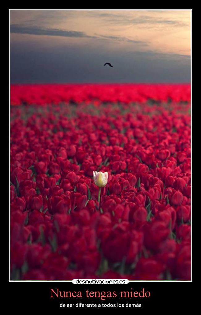 Nunca tengas miedo - de ser diferente a todos los demás