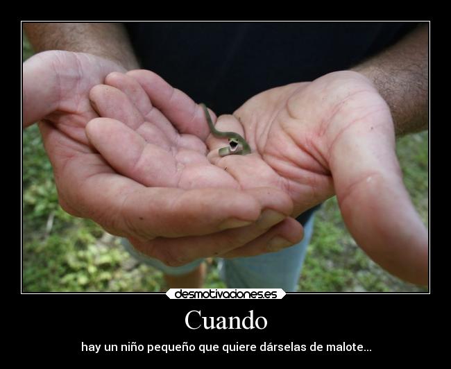 carteles miedo graciosas desmotivaciones nino golpearme que desmotivaciones