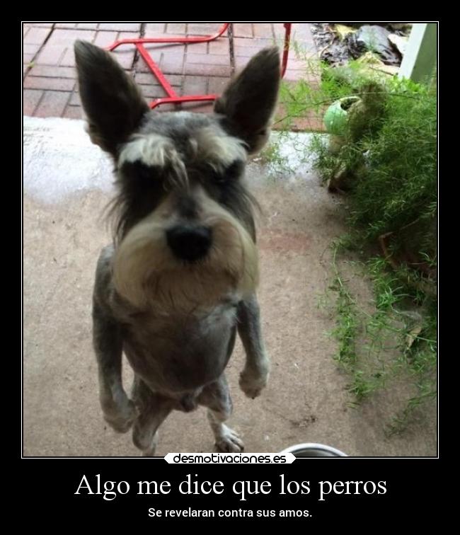 Algo me dice que los perros - Se revelaran contra sus amos.