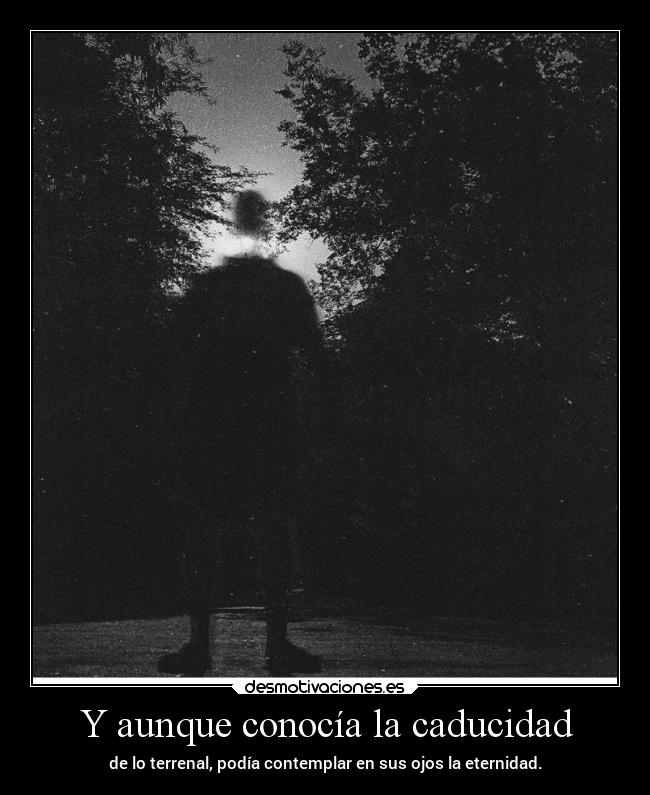 carteles muerte amm levani11 desmotivaciones