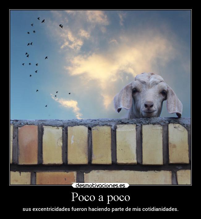 carteles muerte amm mldzz carl desmotivaciones