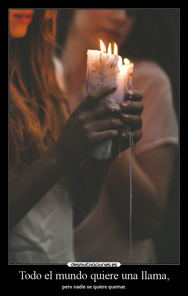 Todo el mundo quiere una llama, -