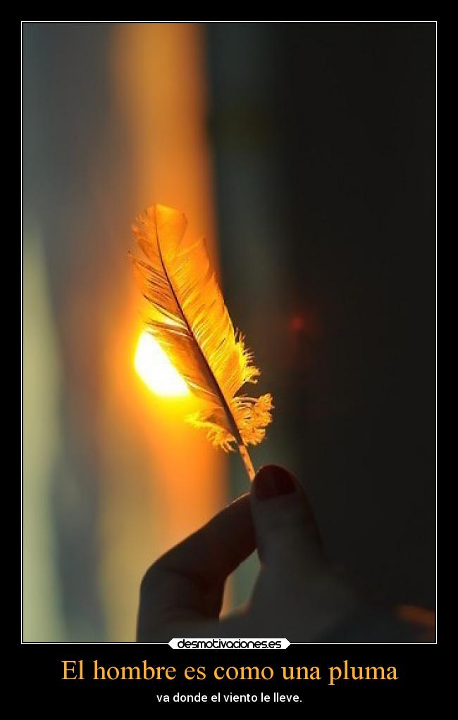 El hombre es como una pluma - va donde el viento le lleve.