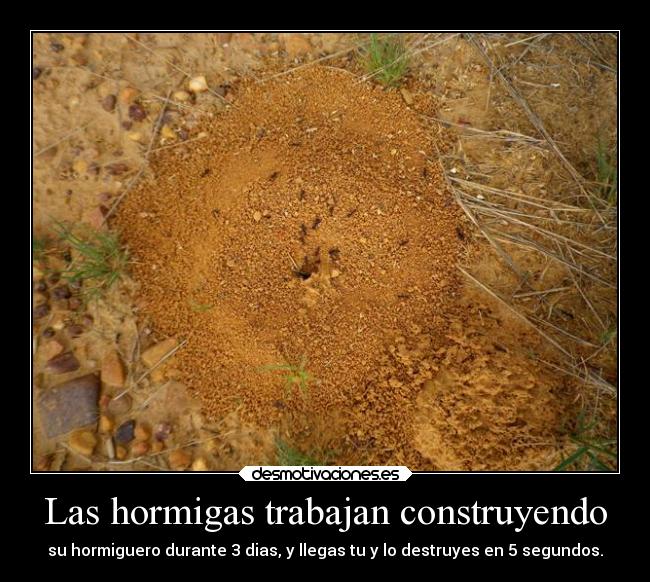 Las hormigas trabajan construyendo - su hormiguero durante 3 dias, y llegas tu y lo destruyes en 5 segundos.