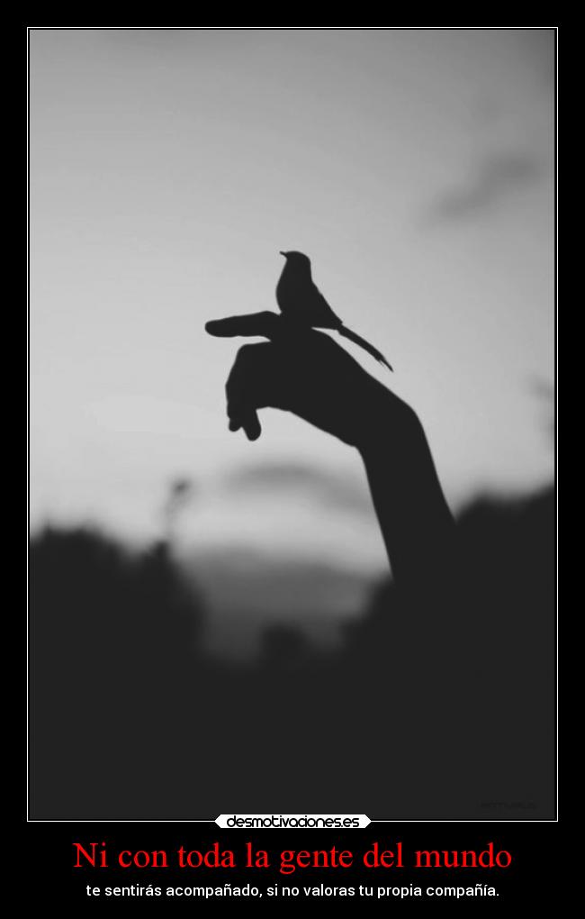 Ni con toda la gente del mundo - te sentirás acompañado, si no valoras tu propia compañía.