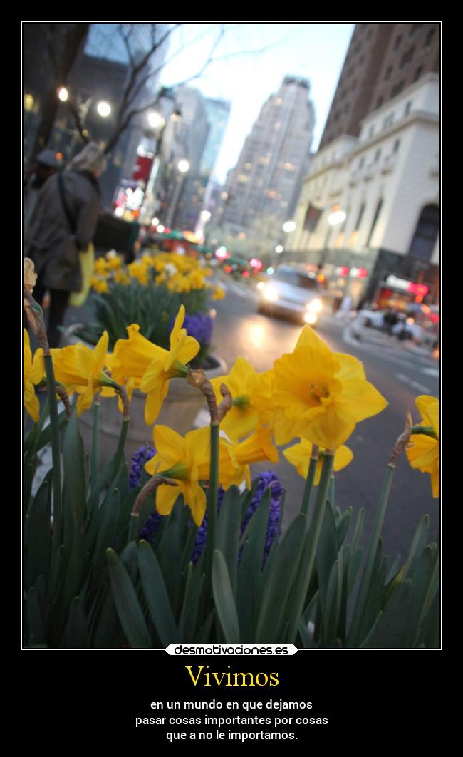 Vivimos - en un mundo en que dejamos
pasar cosas importantes por cosas
que a no le importamos.