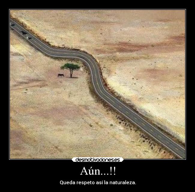 Aún...!! - Queda respeto así la naturaleza.