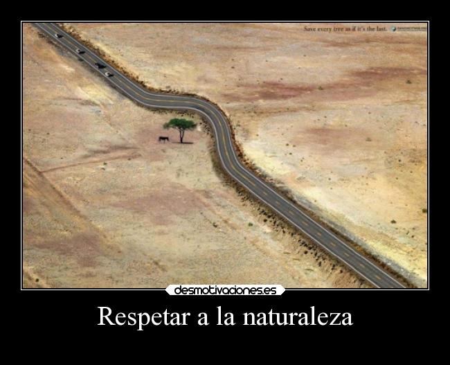 carteles naturaleza naturaleza ideas esperanza desmotivaciones