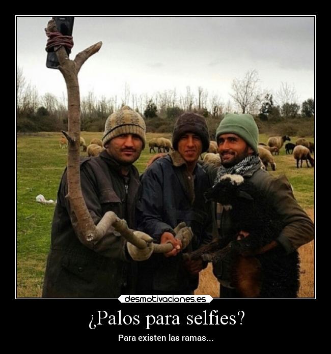 ¿Palos para selfies? - Para existen las ramas...