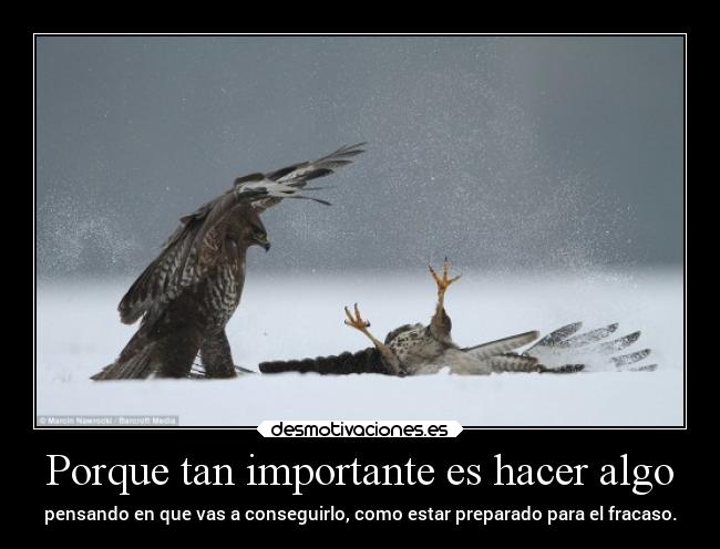 carteles obstaculos vida actitud victoria fracaso desmotivaciones