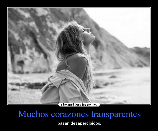 Muchos corazones transparentes - 