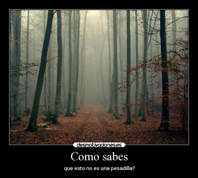 Como sabes -