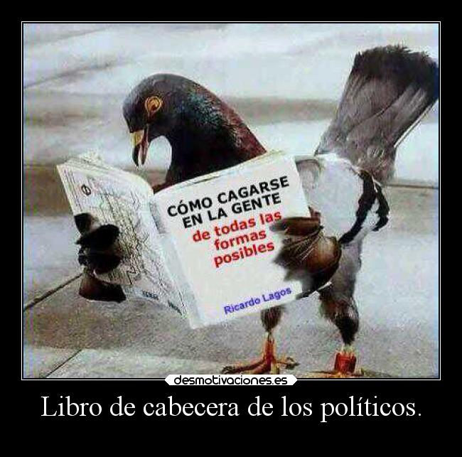 Libro de cabecera de los políticos. -