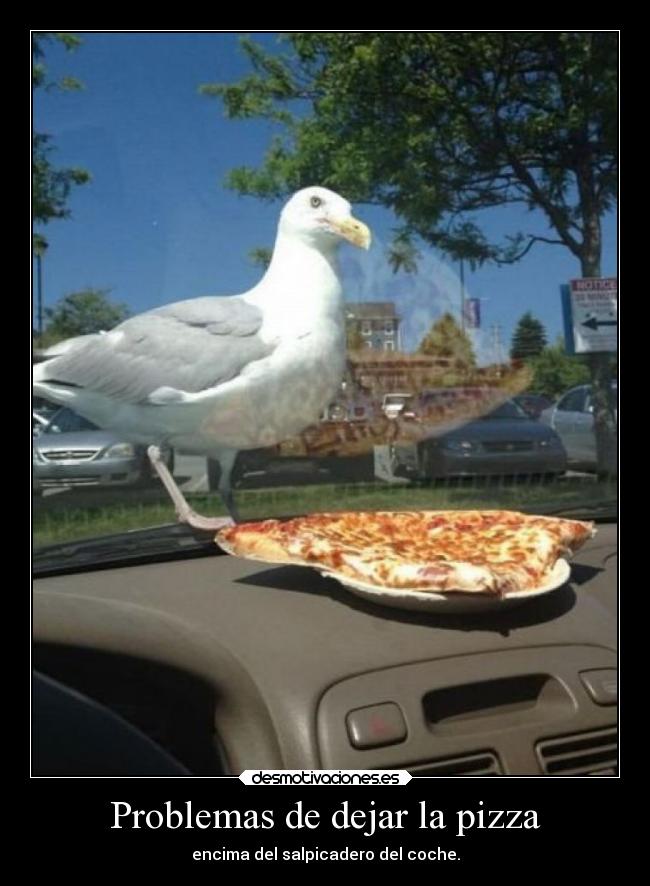Problemas de dejar la pizza - encima del salpicadero del coche.