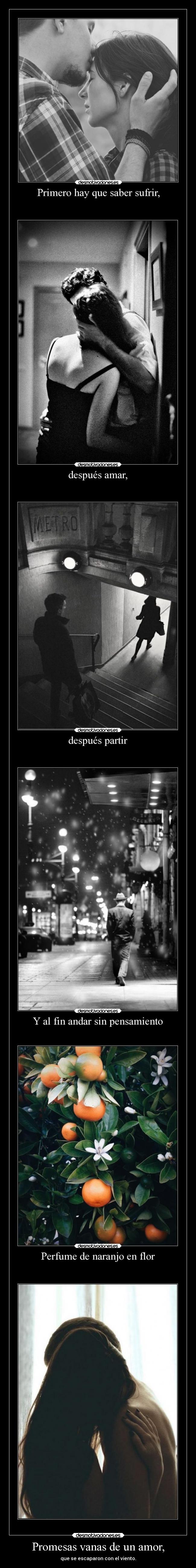 carteles promesas amor musica sentimientos amor tangos binario10 desmotivaciones