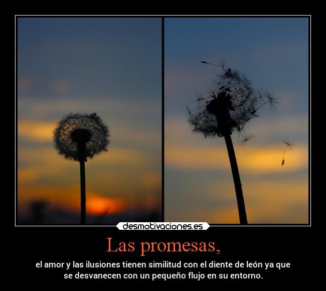 Las promesas, - el amor y las ilusiones tienen similitud con el diente de león ya que
se desvanecen con un pequeño flujo en su entorno.