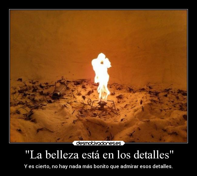 La belleza está en los detalles - Y es cierto, no hay nada más bonito que admirar esos detalles.