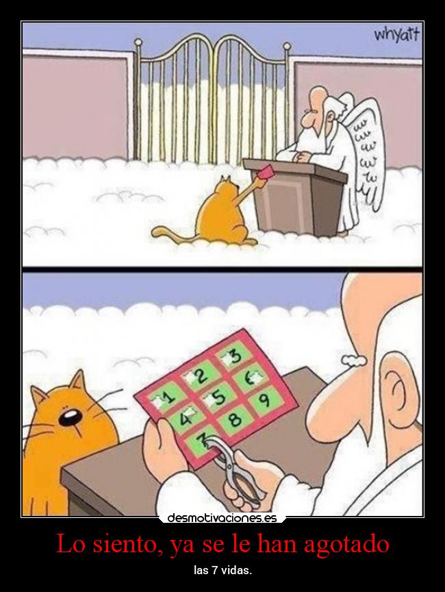 Lo siento, ya se le han agotado - las 7 vidas.