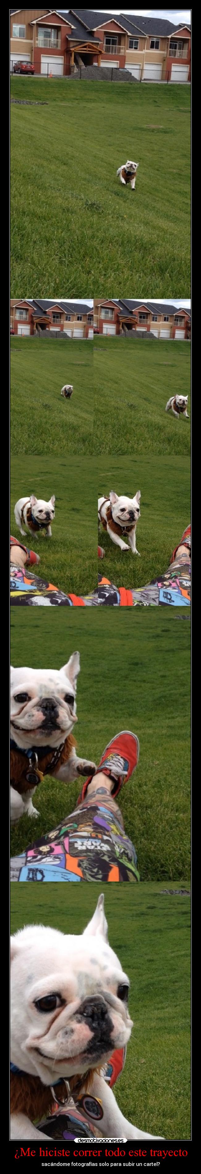 ¿Me hiciste correr todo este trayecto -