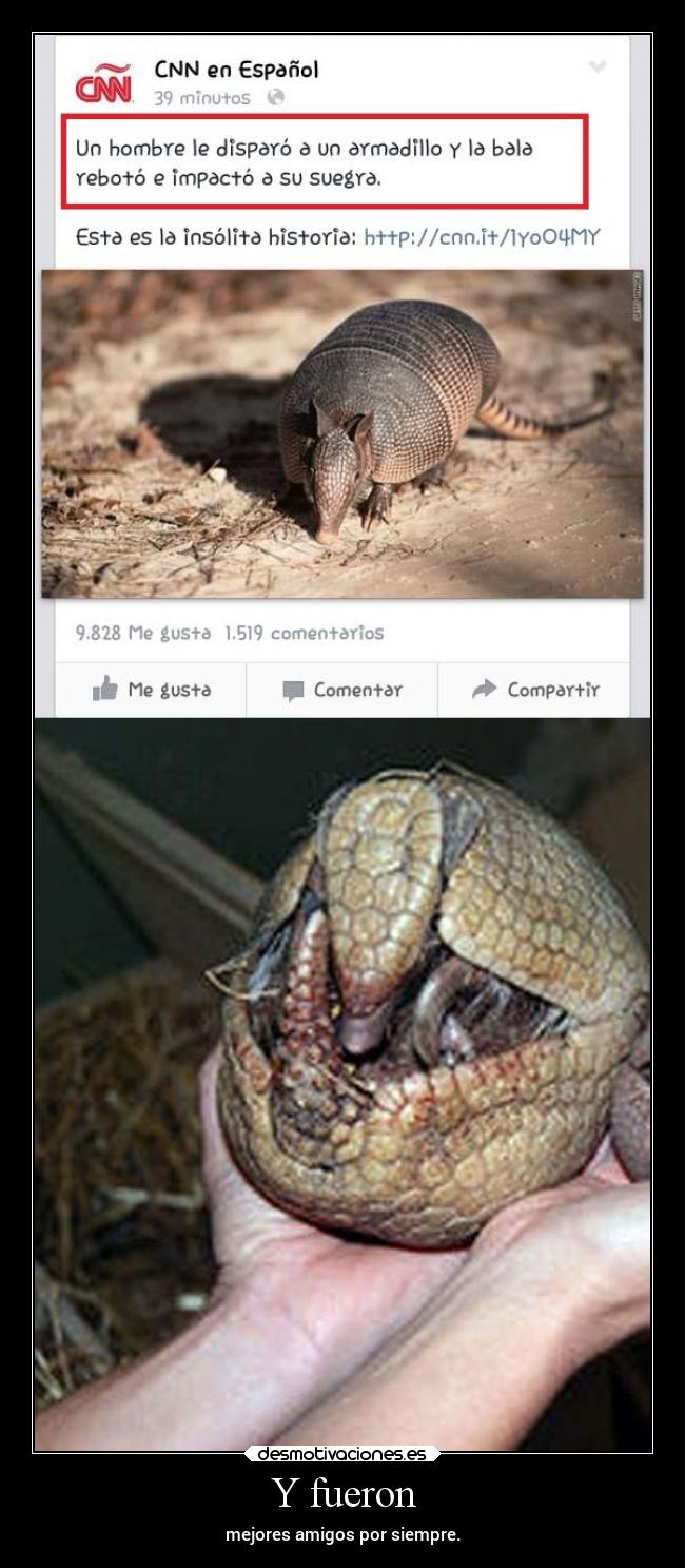 Y fueron - mejores amigos por siempre.
