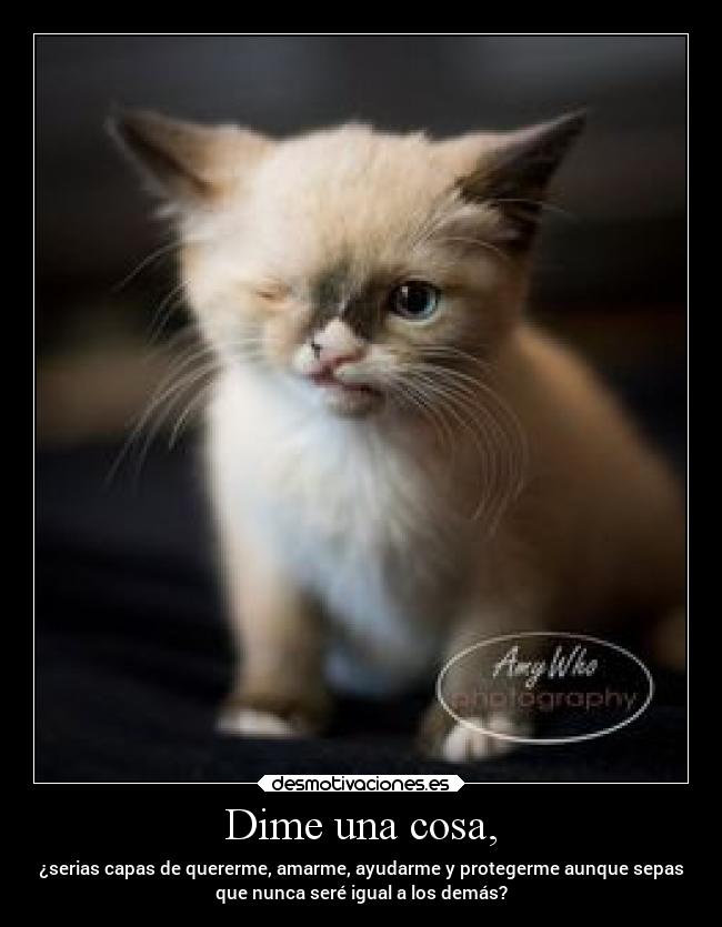 Dime una cosa, - ¿serias capas de quererme, amarme, ayudarme y protegerme aunque sepas
que nunca seré igual a los demás?