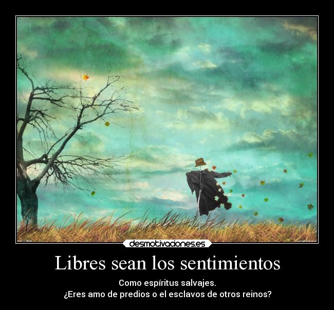 carteles sentimientos mentira osjdnsdf desmotivaciones