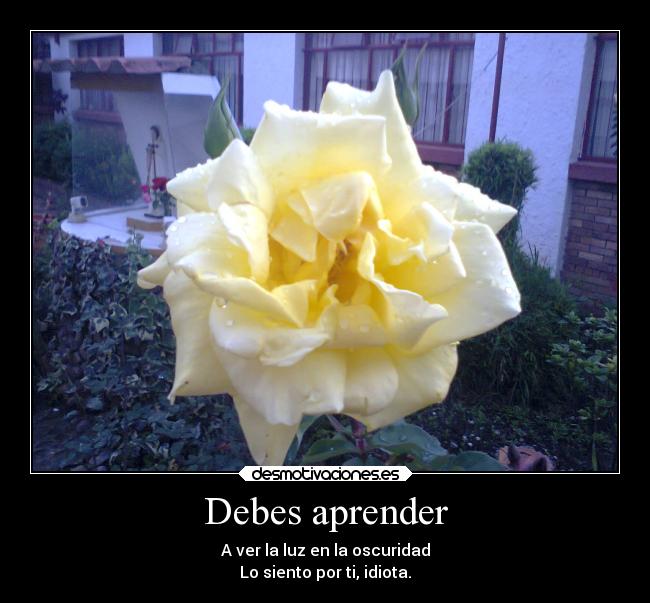 carteles sentimientos recuerdos olvidar mujer desamor amor amistad amigos desmotivaciones