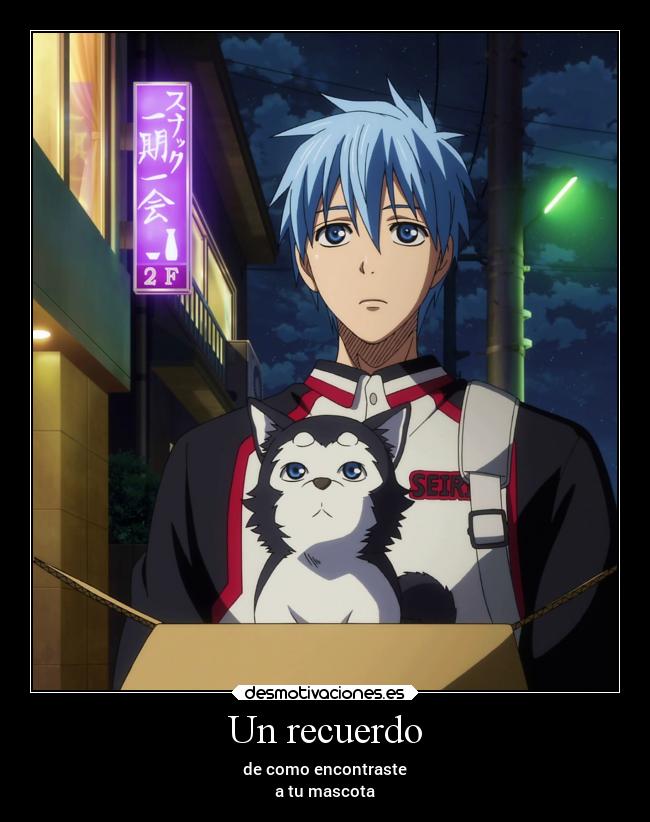 carteles sentimientos vida recuerdos anime animales alegria desmotivaciones