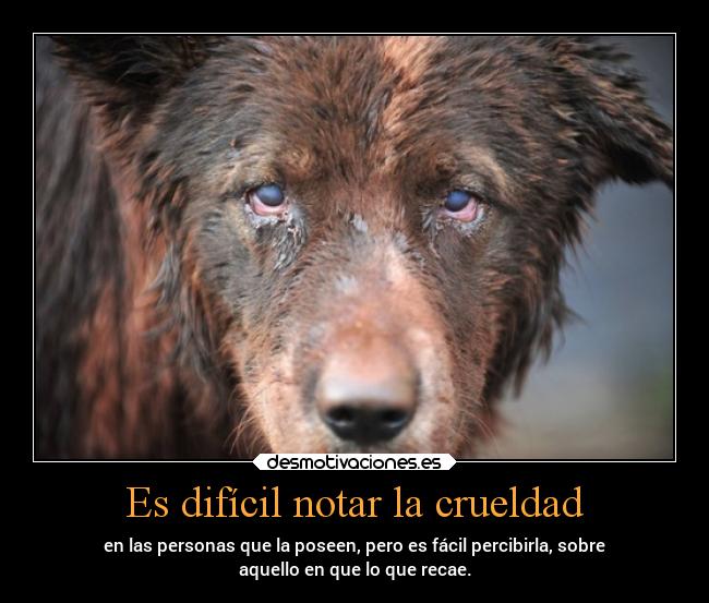 Es difícil notar la crueldad - 
