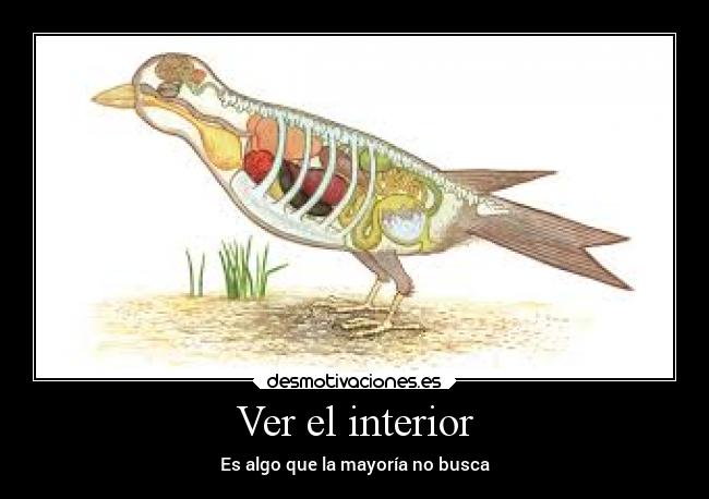 Ver el interior - Es algo que la mayoría no busca